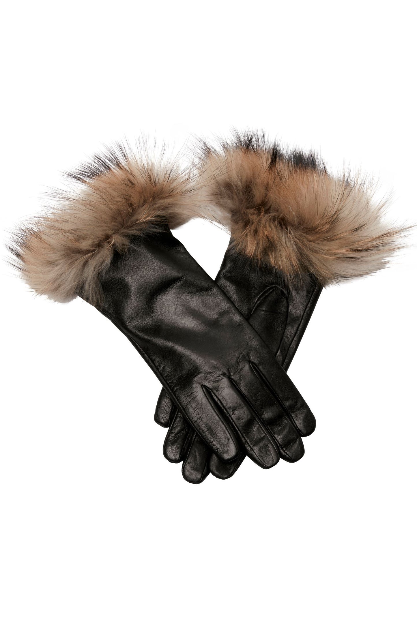 HOLLIES Glove Raccoon