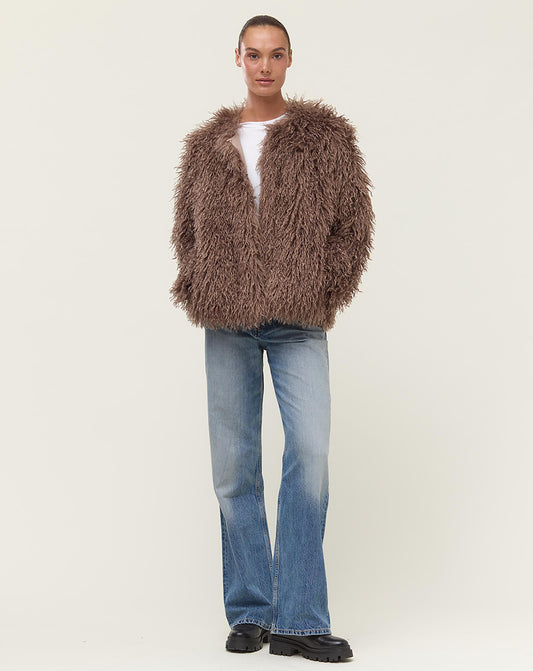 HOLLIES SHELLEY BROWN